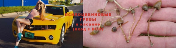 соль ск Абдулино