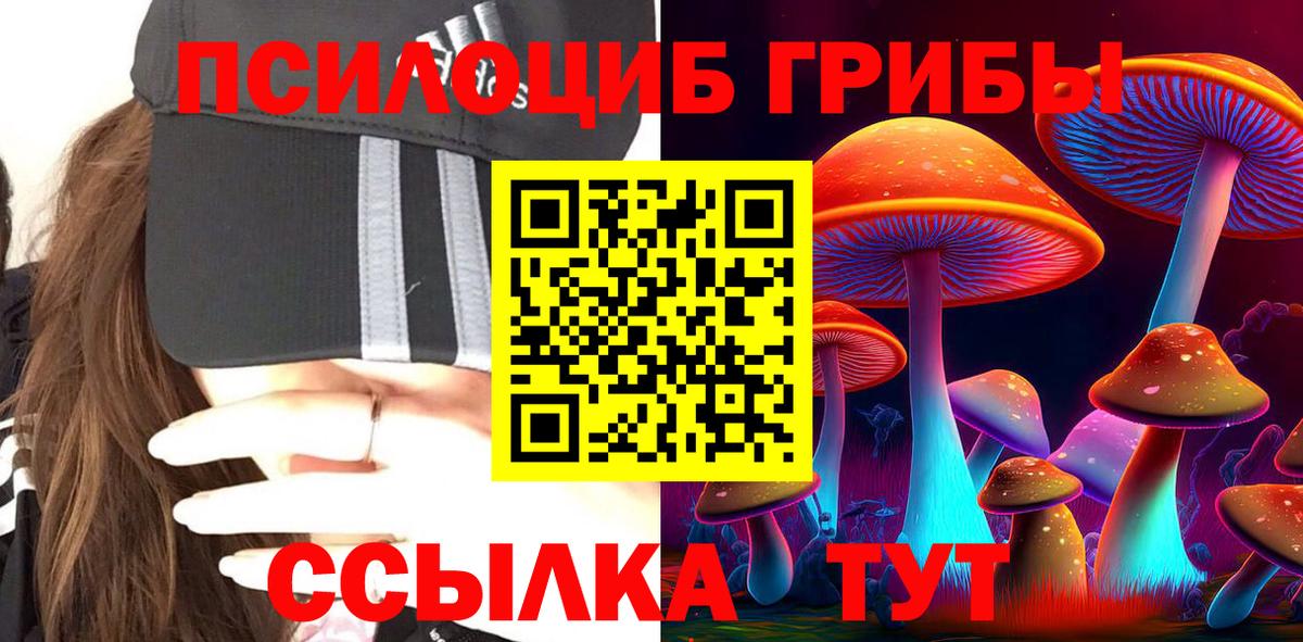 Сызрань  Галлюциногенные грибы Psilocybe  Вход с VPN 